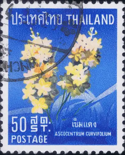 Thai Orchids (I) -CANCELLED (G)-