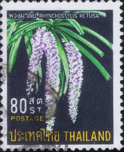 Thai Orchids (I) -CANCELLED (G)-