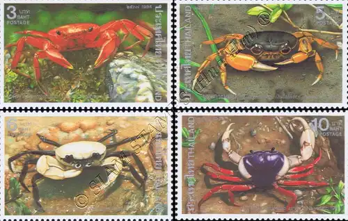 Crustaceans (II): Rare native freshwater crabs (MNH)