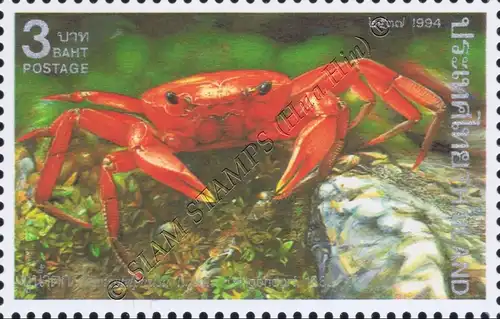 Crustaceans (II): Rare native freshwater crabs (MNH)