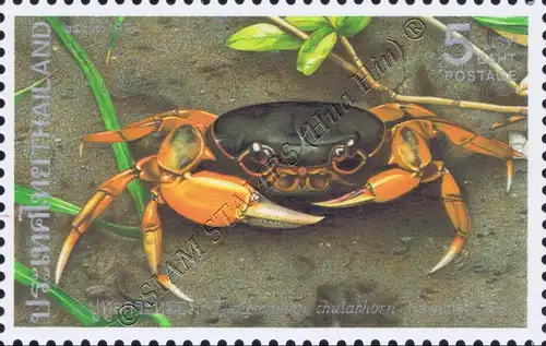 Crustaceans (II): Rare native freshwater crabs (MNH)