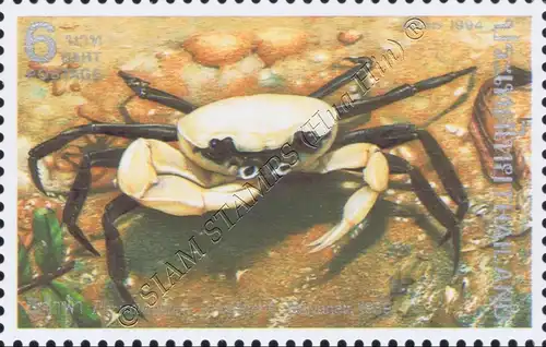 Crustaceans (II): Rare native freshwater crabs (MNH)