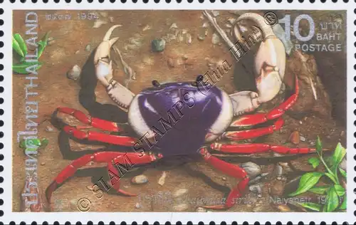 Crustaceans (II): Rare native freshwater crabs (MNH)