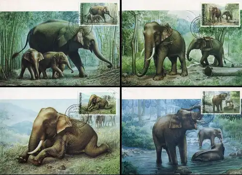 Indian Elephant -MAXIMUM CARDS MC(36)-