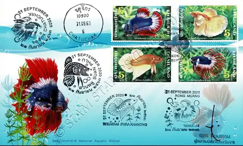 Fighting Fish (II) -FDC(I)-ISSSSTU-