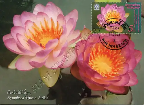 THAILAND 2016, Bangkok: Lotus flower Queen Sirikit -MAXIMUM CARD MC(III)-