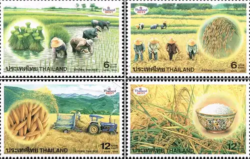 Thai Rice (MNH)