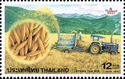 Thai Rice (MNH)