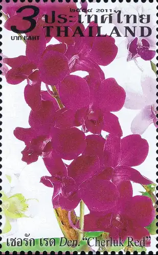 Orchid: Dendrobium Varieties -PAIR- (MNH)