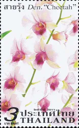 Orchid: Dendrobium Varieties -PAIR- (MNH)