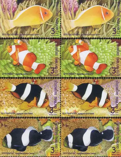 Anemonefish (Clownfish) -PAIR- (MNH)