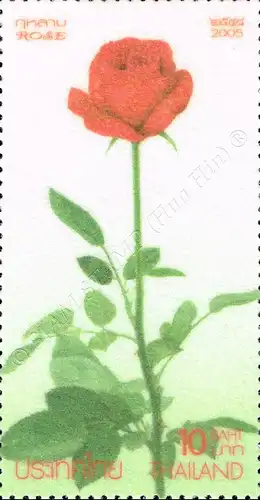 Grußmarke Rose 2005 (IV) (**)