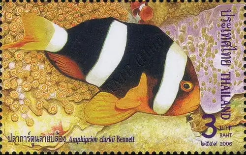 Anemonenfische (Clownfische) -4er BLOCK- (**)