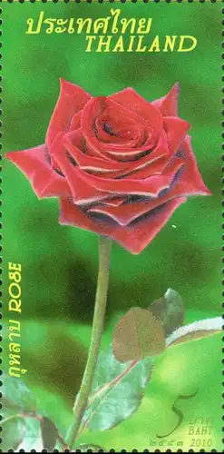 Grußmarke: Rote Rose (2877) (**)
