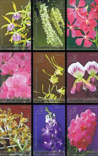Amazing Thailand (I): Orchideen (**)