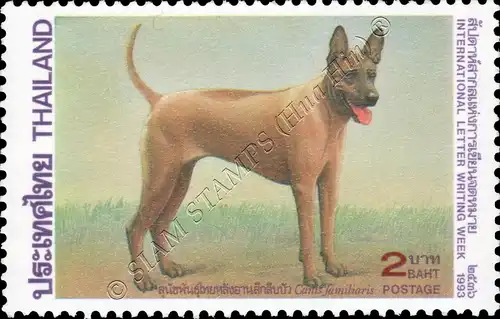 Internationale Briefwoche: Thailändischer Ridgeback (**)