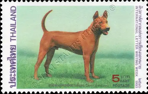 Internationale Briefwoche: Thailändischer Ridgeback (**)