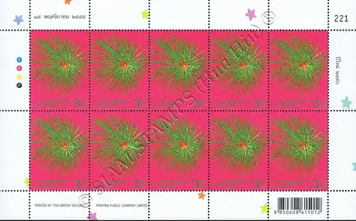 Neujahr 2013: Feuerwerk -KB(I)- (**)