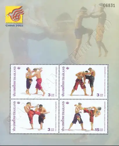 CHINA 2003, Mianyang: Thai-Boxen (168I) (**)