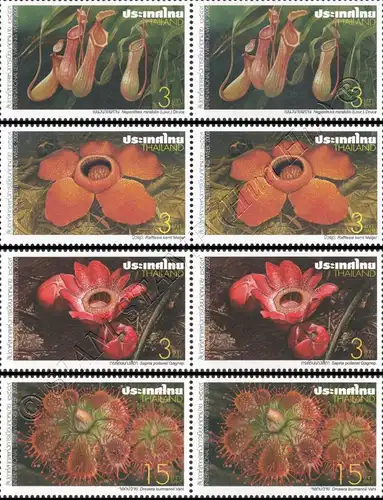 Internationale Briefwoche: Fleischfressende Pflanzen und Rafflesien -PAAR- (**)