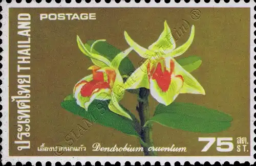 Thailändische Orchideen (III) (**)