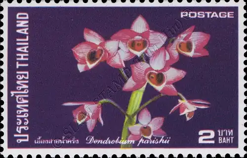 Thailändische Orchideen (III) (**)