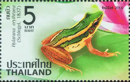 Thailändische Amphibien (323) -GESTEMPELT-