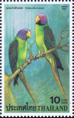 Einheimische Papageien (**)