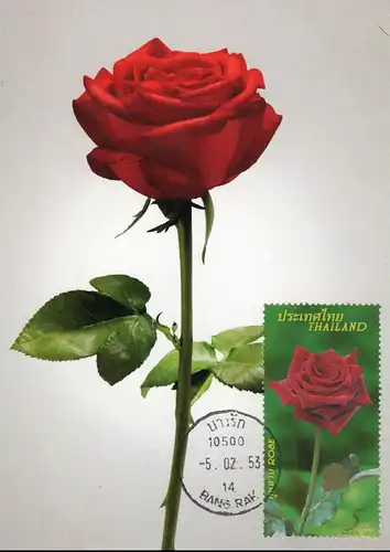 Grußmarke: Rote Rose (2877) -MAXIMUM KARTE MC(IV)-