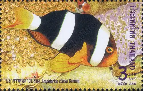 BELGICA 2006: Anemonenfische (Clownfische) (200I) (**)