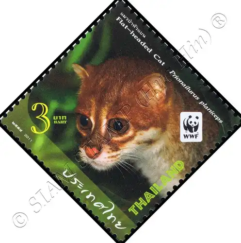 Weltweiter Naturschutz (VII): Kleinkatzen (**)