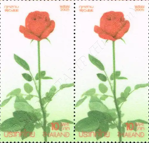 Grußmarke Rose 2005 (IV) -PAAR- (**)