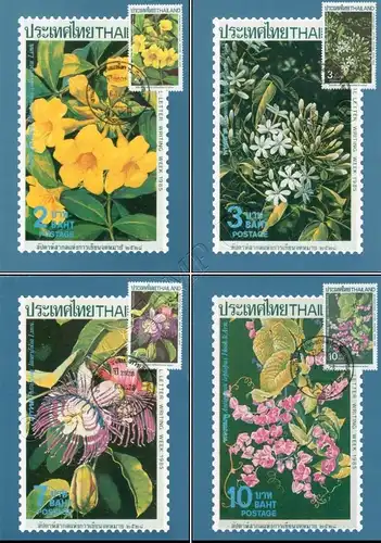 Internationale Briefwoche: Kletterpflanzen -MAXIMUM KARTEN MC(006)-