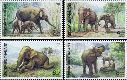 Indischer Elefant (**)