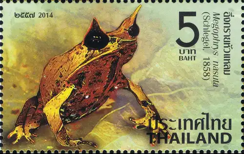 Thailändische Amphibien -GESTEMPELT-