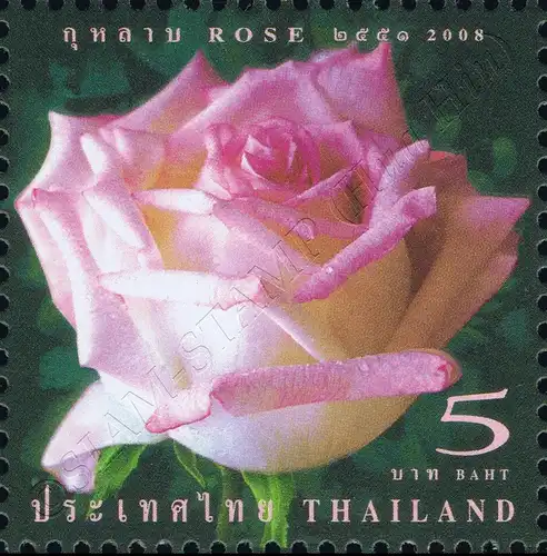 Greeting Stamp: Rose (7th Series) (MNH)