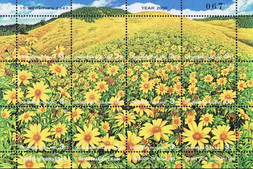 Amazing Thailand (IV): Bua Tong Meadow, Doi Mae Ukor Mountain -KB(I)- (MNH)