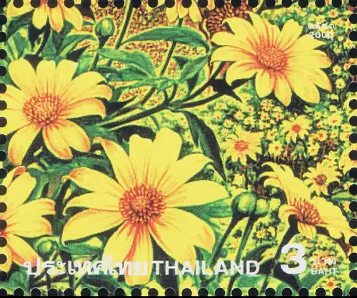 Amazing Thailand (IV): Bua Tong Meadow, Doi Mae Ukor Mountain -KB(I)- (MNH)