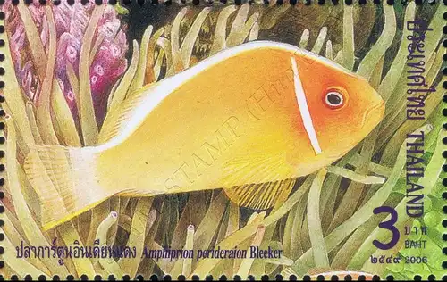 Anemonefish (Clownfish) (200) (MNH)