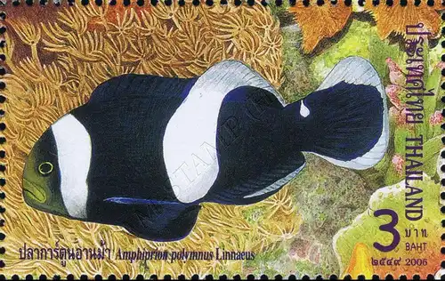 Anemonefish (Clownfish) (200) (MNH)