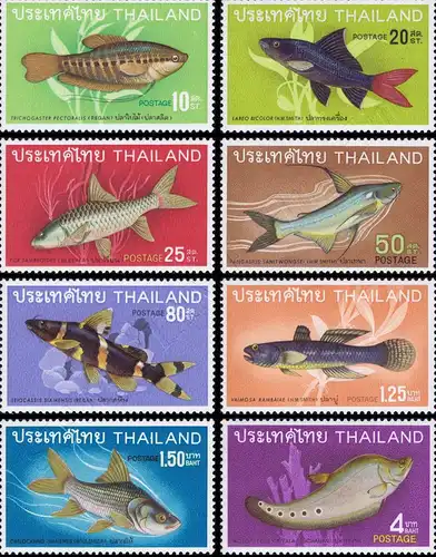 Native fish (II) (MNH)