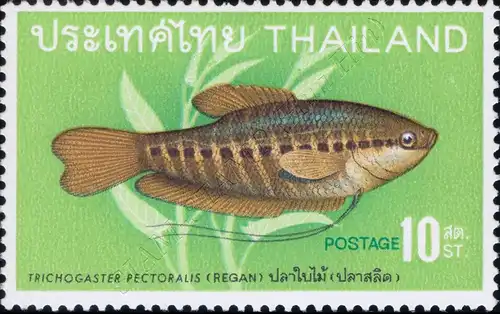 Native fish (II) (MNH)