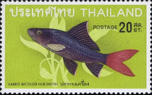 Native fish (II) (MNH)