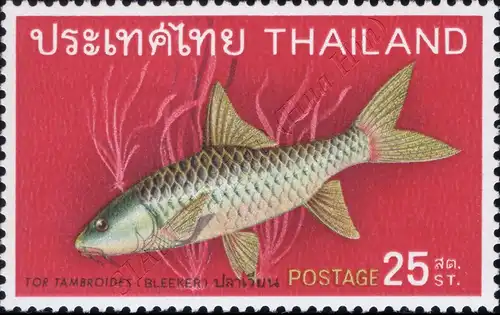 Native fish (II) (MNH)