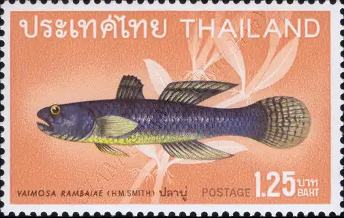 Native fish (II) (MNH)