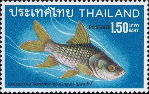 Native fish (II) (MNH)