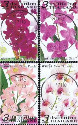 Orchid: Dendrobium Varieties -CANCELLED (G)-
