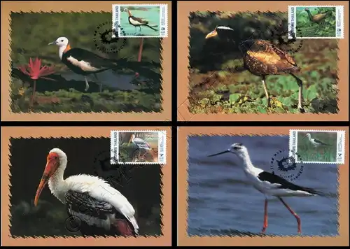 Waterfowls -MAXIMUM CARDS MC(74)-