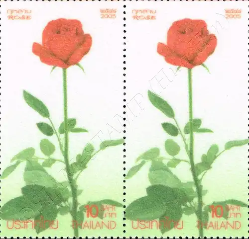 Rose 2005 (IV) -PAIR- (MNH)