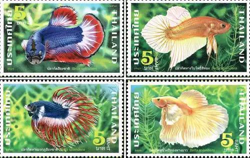 Fighting Fish (II) -C 13 1/4:13 1/2- (MNH)